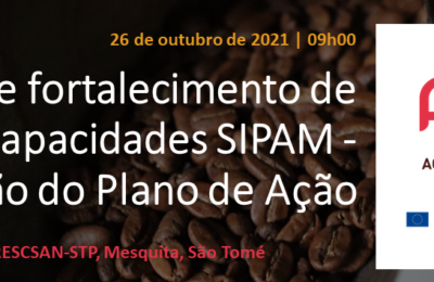 Sessão de fortalecimento de capacidades SIPAM – construção do Plano de Ação